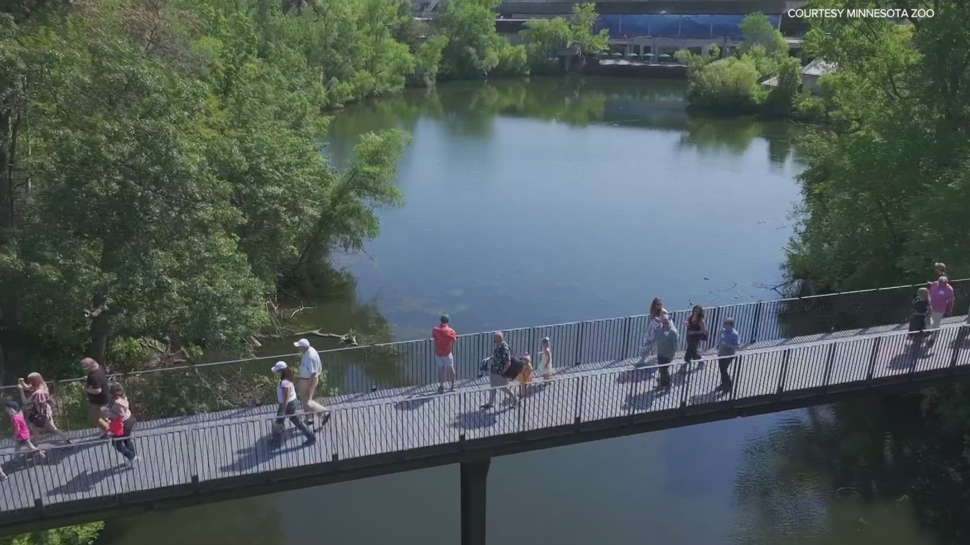 The "world's longest elevated pedestrian loop," gives visitors a brand new view of their favorite zoo residents.