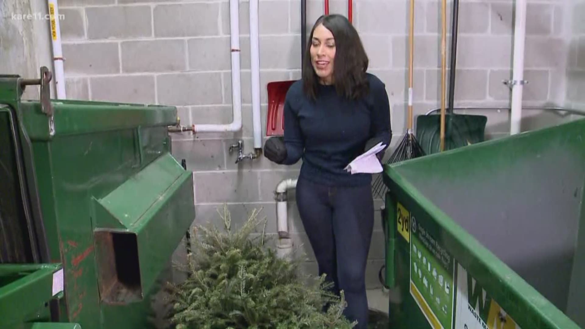 What to know before taking down your Christmas tree | kare11.com