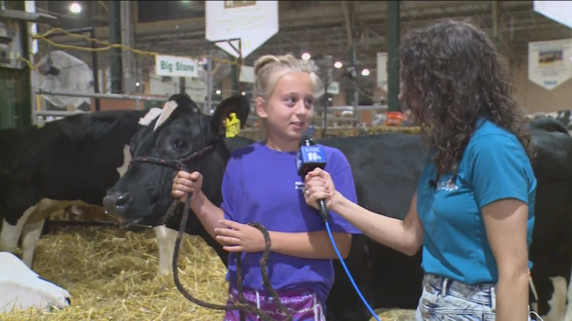 While many people think of food food food, the Minnesota State Fair has plenty of ag flavor too. Jillian is a 4H kid who is ready to show her little cow Annie.
