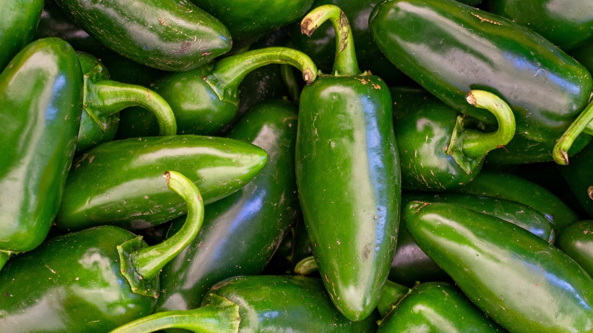 Salmonella outbreak linked to jalapeños reported in Minnesota