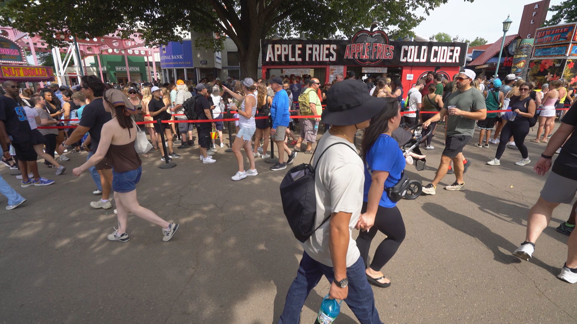 This year's Minnesota State Fair saw new food favorites and record-breaking entries