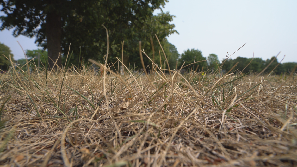 MN Drought Task Force to convene for first time in nearly a decade - Vimarsana News