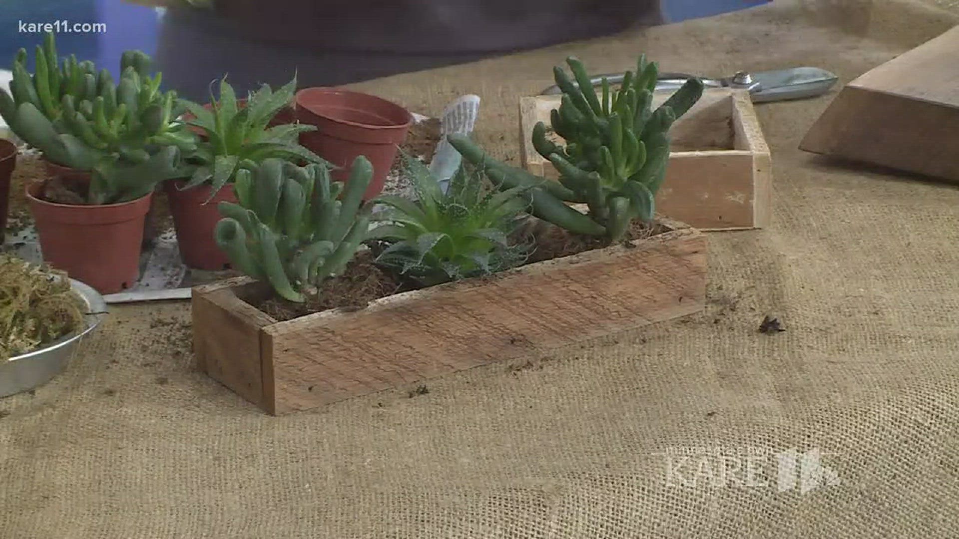 Grow with KARE: Succulent make & take class