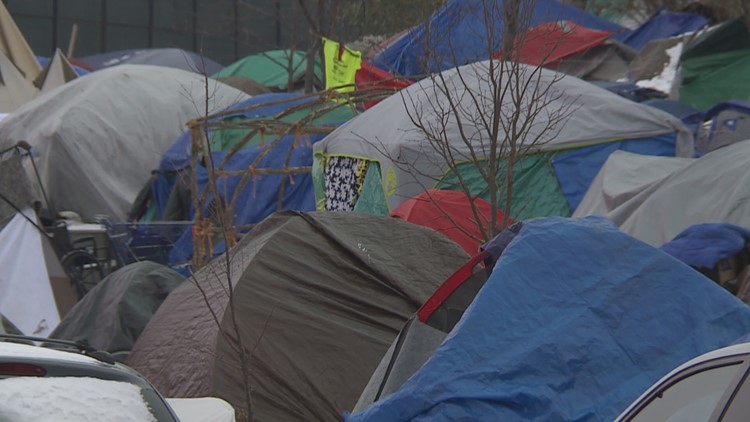 Duluth City Council recently approved city-sanctioned homeless encampments, could it work in the Twin Cities?