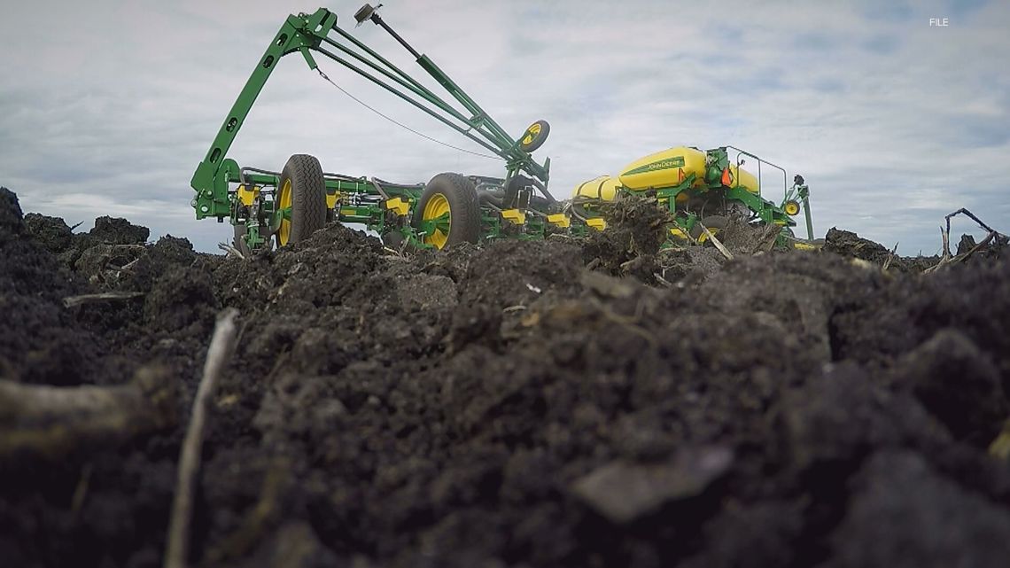 Minnesota farmers share labor outlook