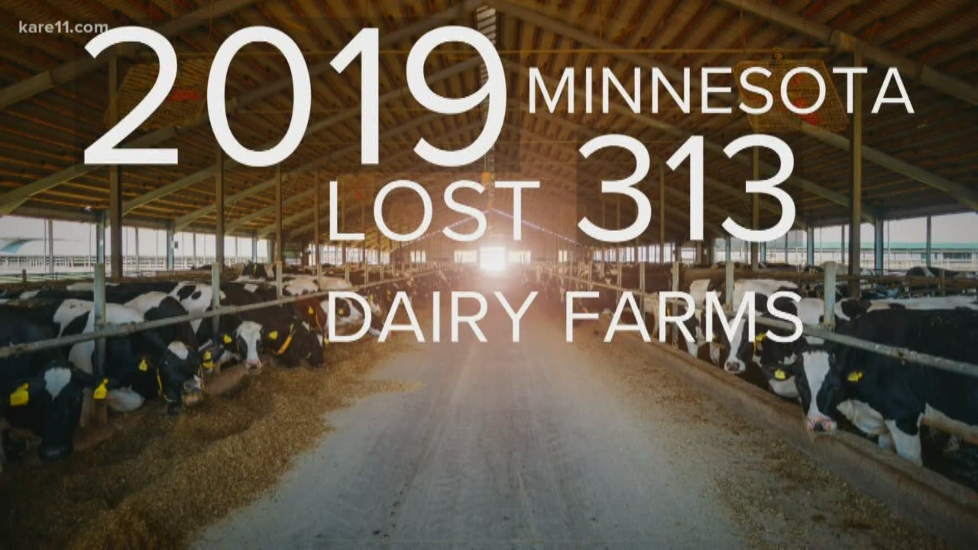 Low milk prices continued to plague dairy farmers in Minnesota and across the country.