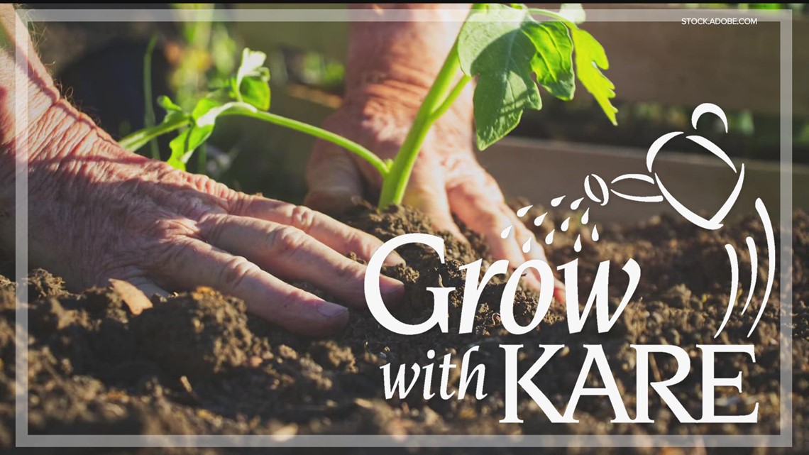 Grow with KARE: Gardening in a cool, wet spring