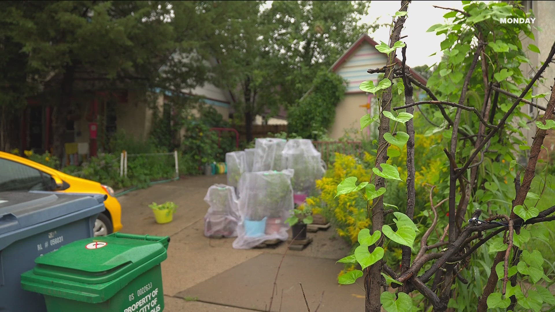 Two people have been charged after a 79-year-old woman was hit and seriously injured by a stray bullet in Minneapolis on Sunday.
