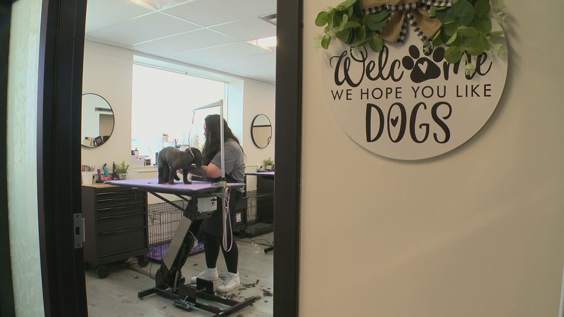 Dog salon in St. Louis Park has opportunity to help the next small business