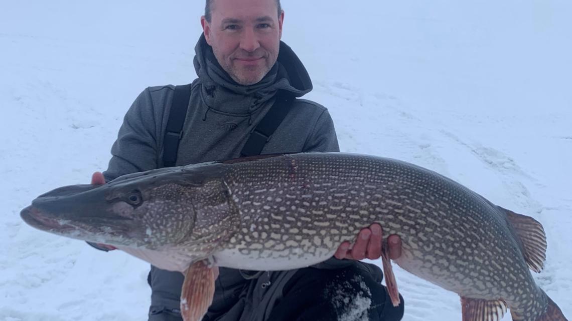 montana state record pike