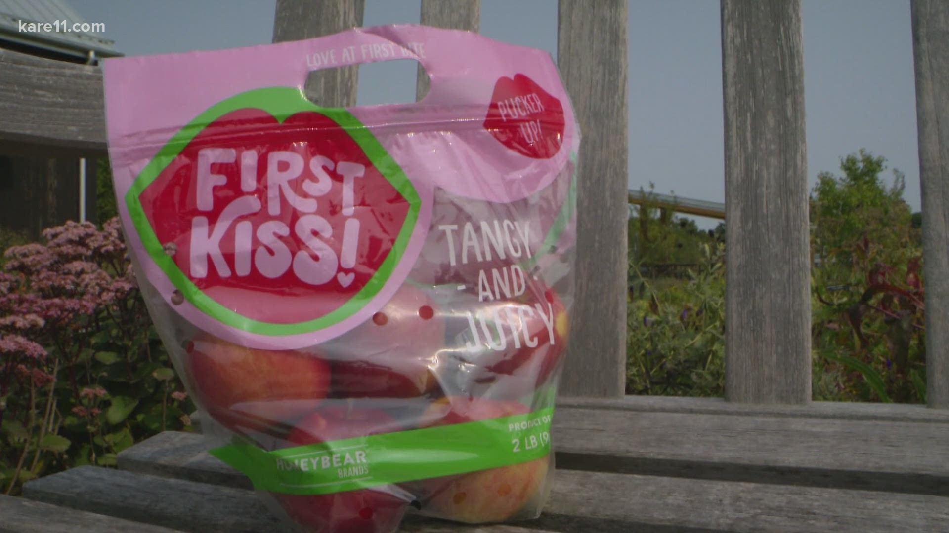 As the First Kiss apples hit shelves for the season, Honeybear Brands and Cub foods have partnered to fund pollinator habitats from all of its local apple sales.