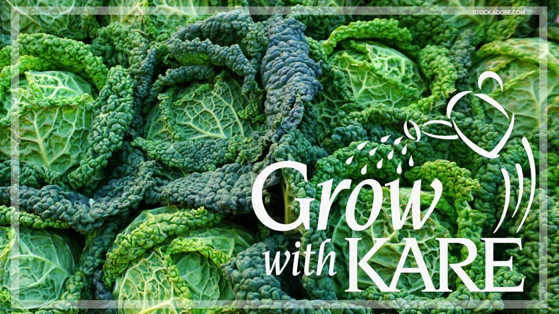 Grow with KARE: What to plant before the last frost