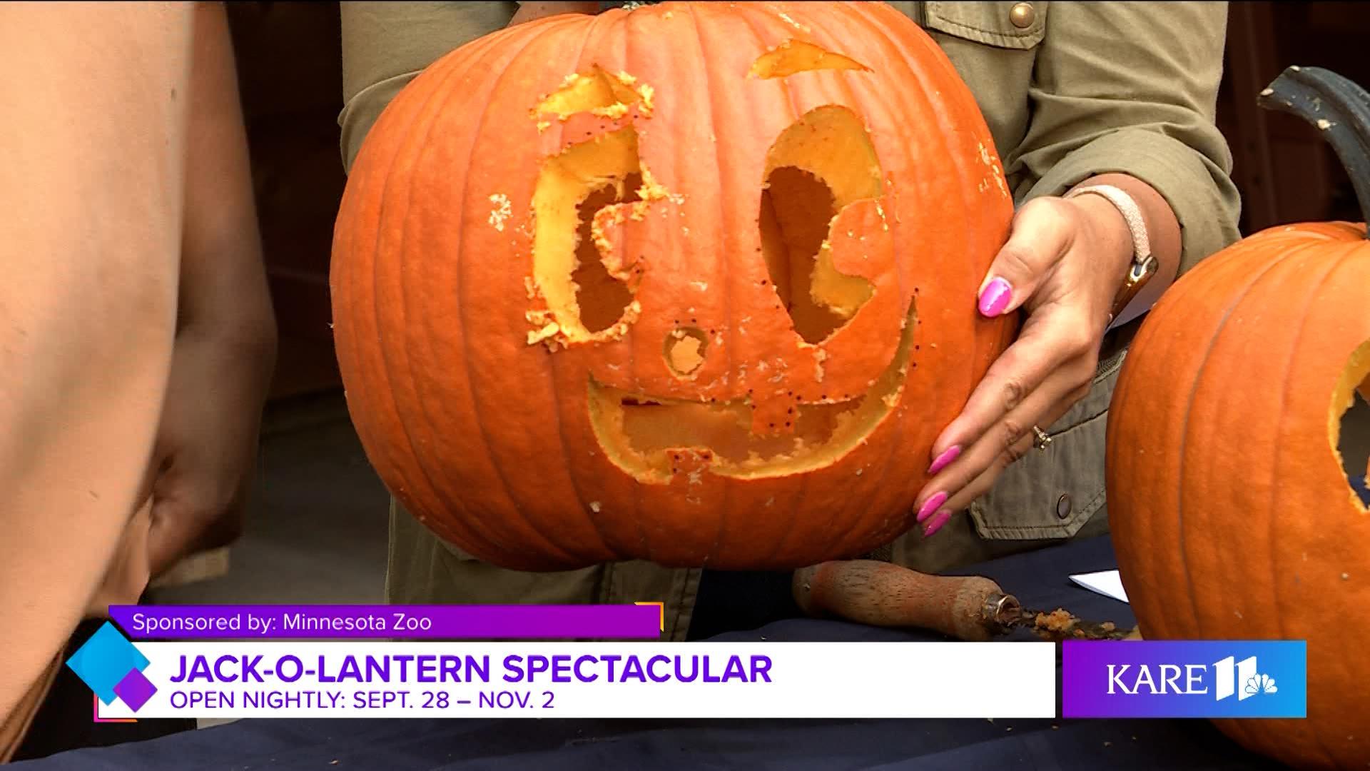 Minnesota Zoo joins Minnesota and Company to discuss the magical return of the Jack-O-Lantern Spectacular.