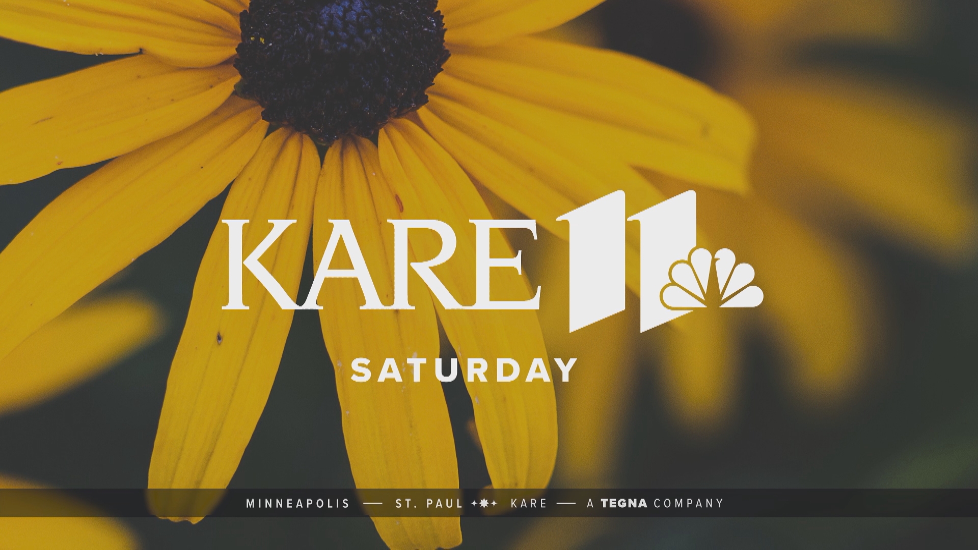 News and features for your weekend, including guest interviews, recipe ideas, and Grow With KARE.