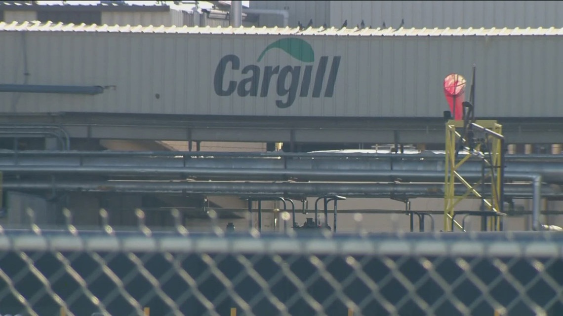 Just about 500 Minnesotans impacted by way of Cargill layoffs