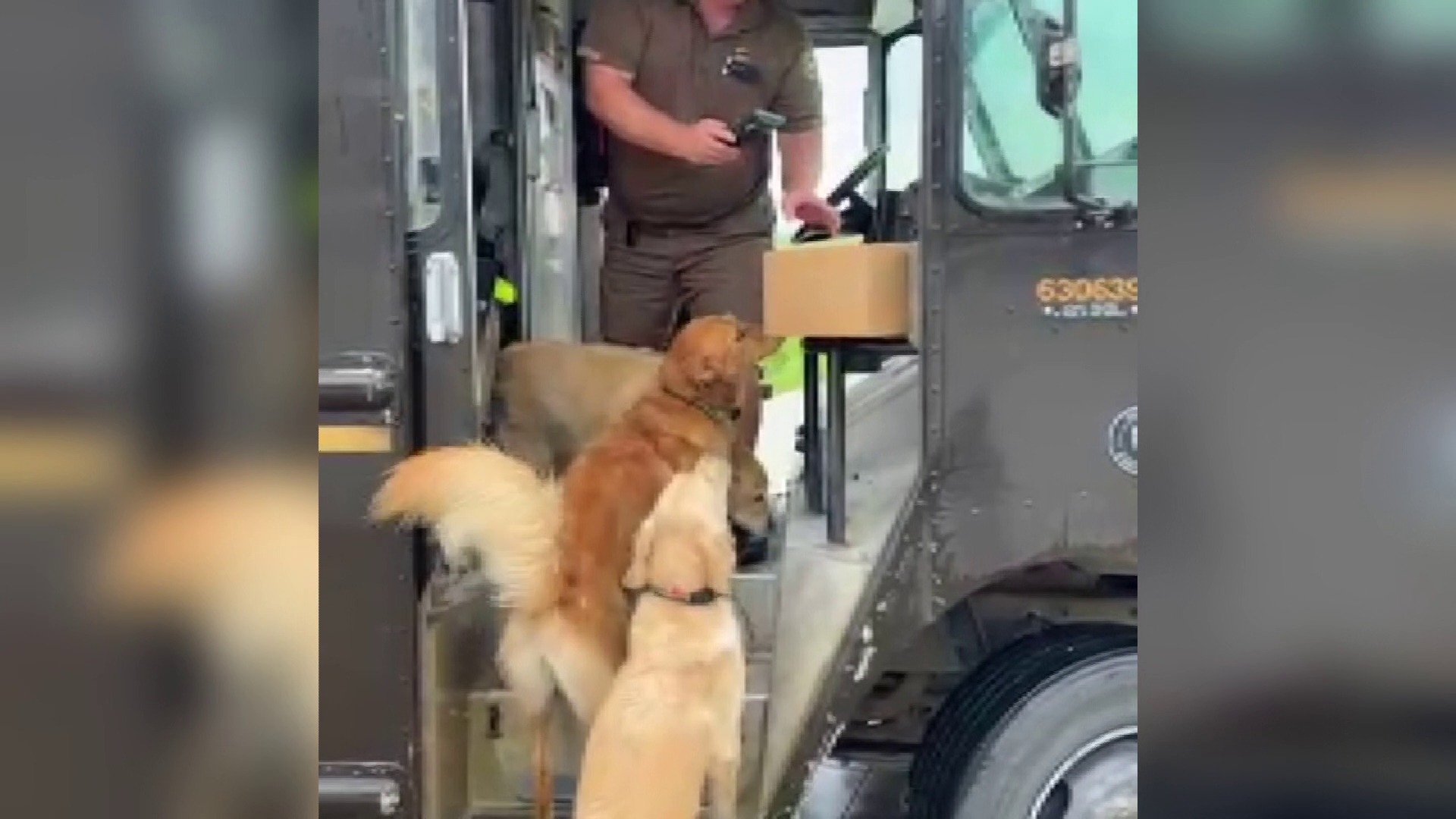 John's three best customers made sure to greet him as usual on his last day with UPS before driving off into retirement.