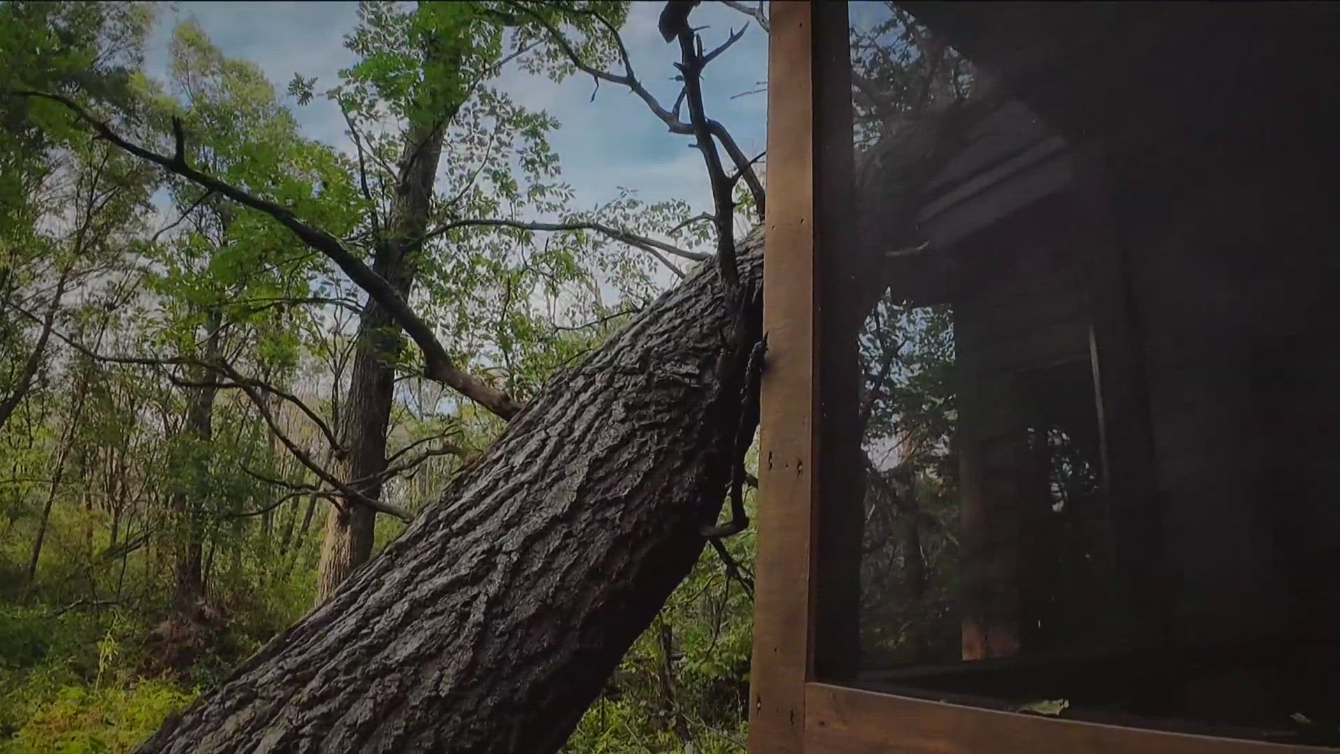 Hundreds of trees at Pacem in Terris Hermitage Retreat Center were knocked down the by the most recent round of storms.