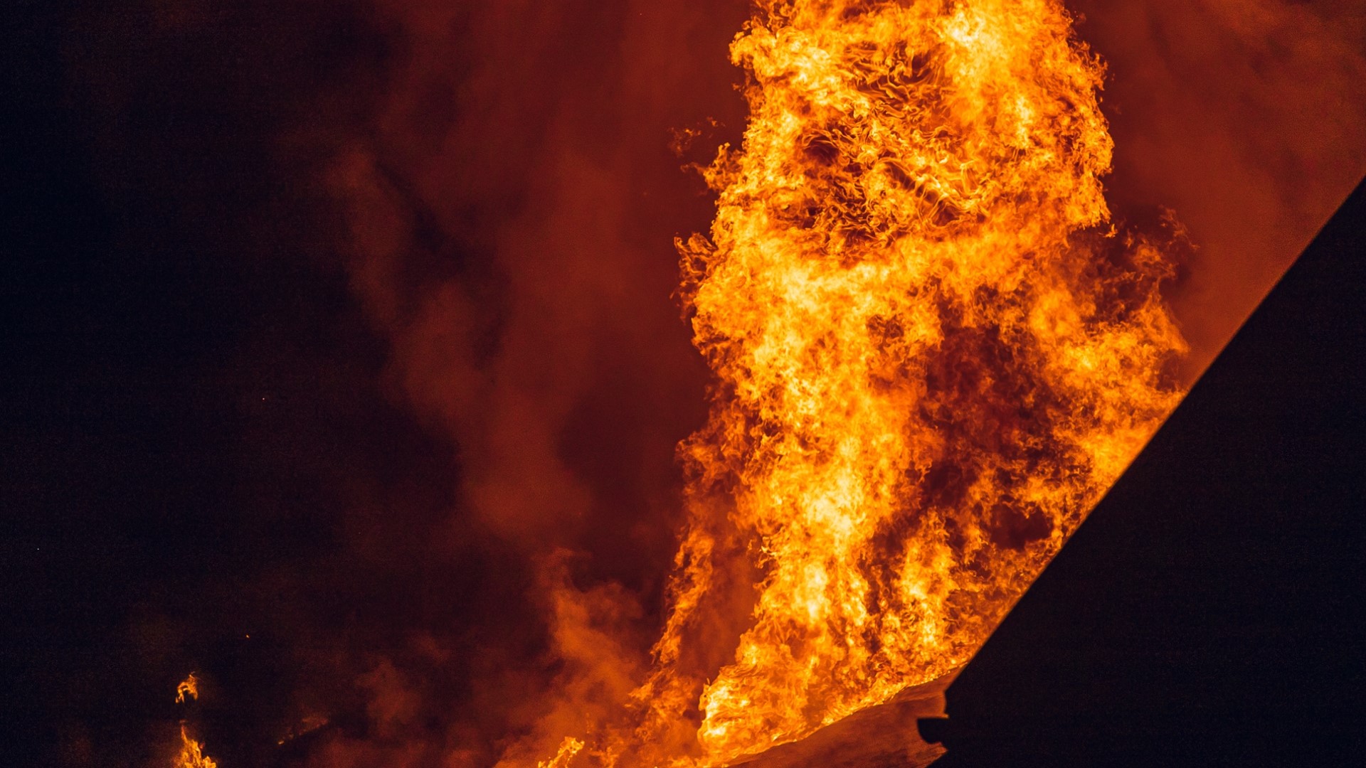 Charges: Oakdale man set fire to house with multiple cats inside ...