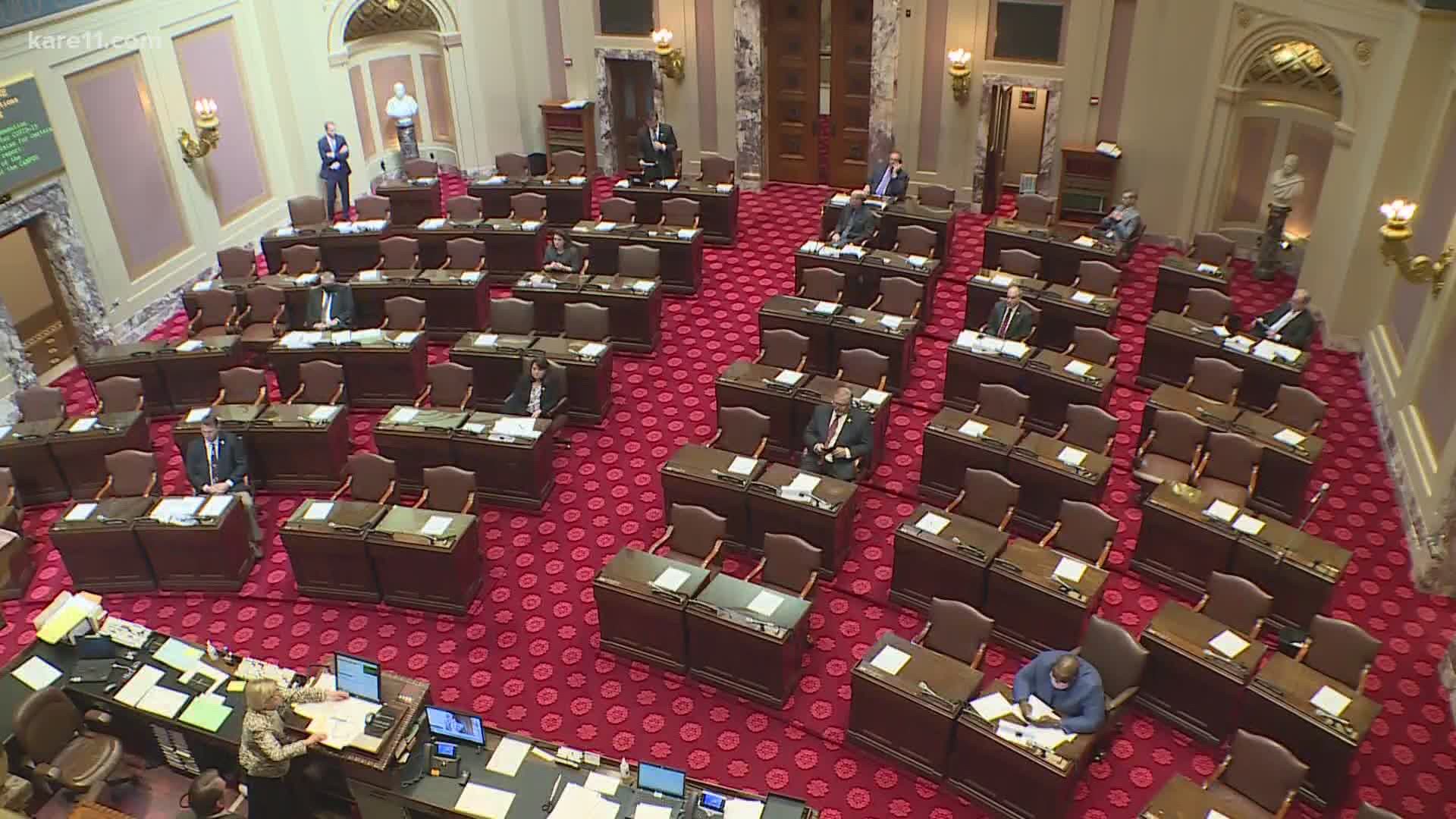 The Senate voted 32-34 on Nancy Leppink's confirmation in Wednesday's special session.