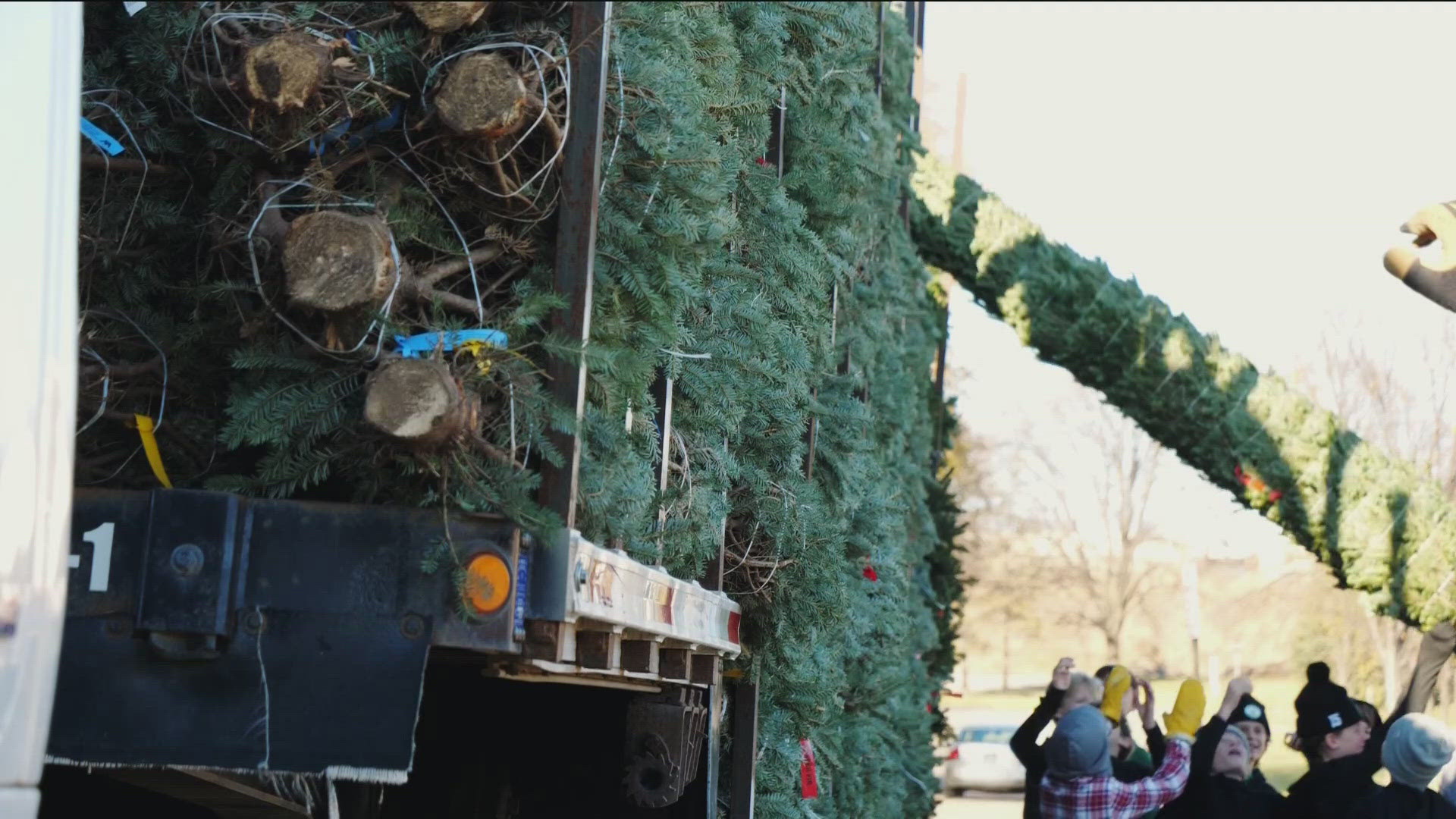 Geoff Selby from Our Lady of Grace Men's Club joined KARE 11 News at 4 to discuss this year's Christmas tree lot season.