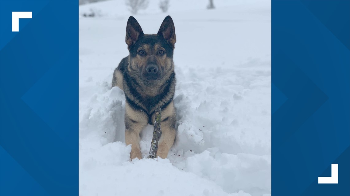 Sheriff's Deputy Nate Fisher loses a best friend in house fire - Vimarsana News