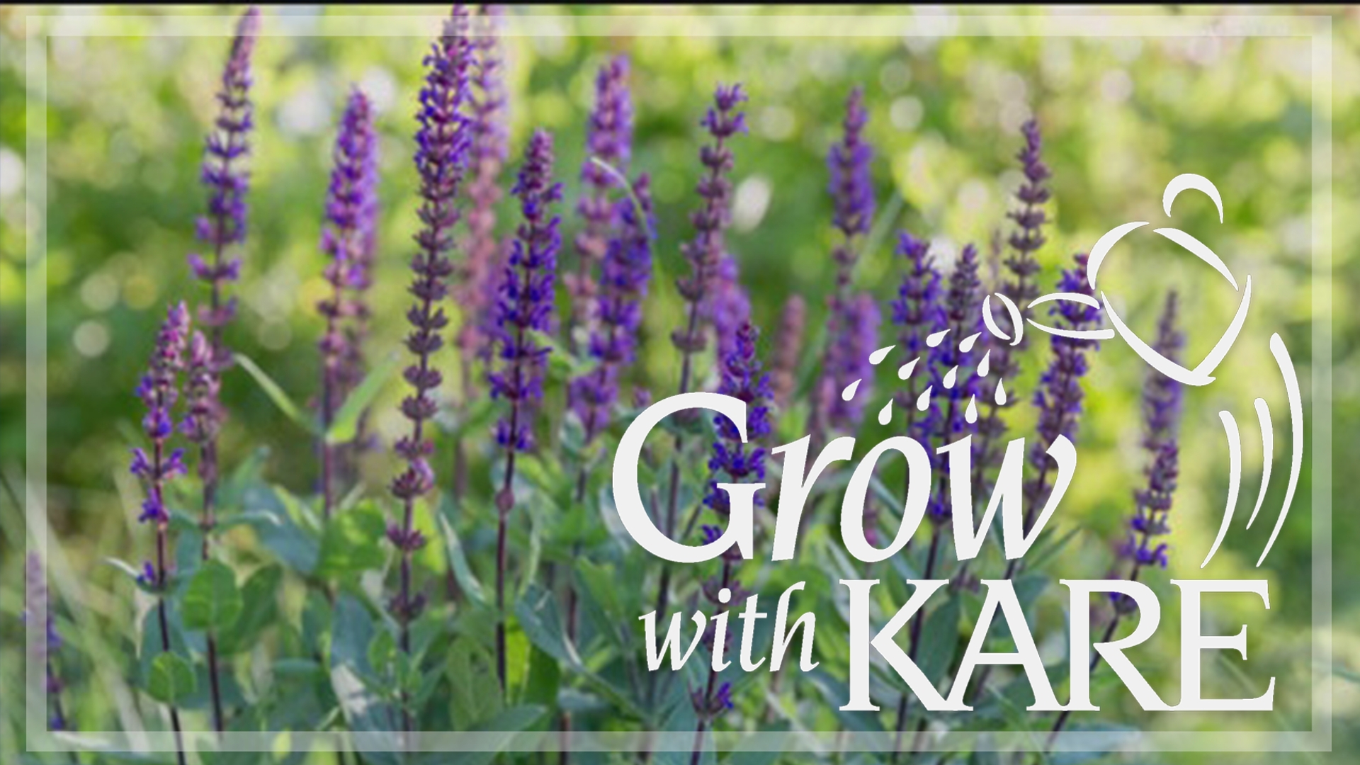 The plant-growing pioneers identify three different ways to switch up your garden from getting grassy to attracting hummingbirds. 