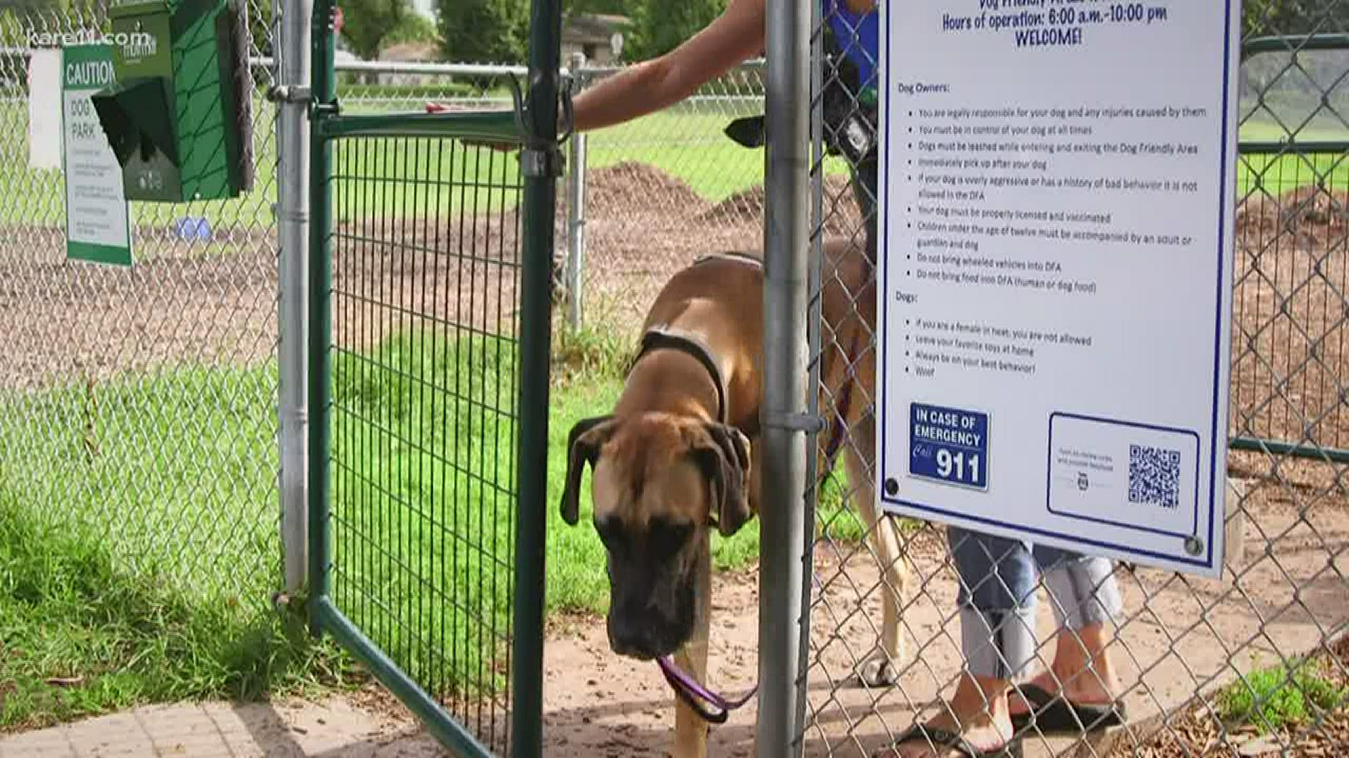After a dog in North Carolina tested positive for coronavirus, the Centers for Disease Control fine tuned guidelines for pets and pet owners.