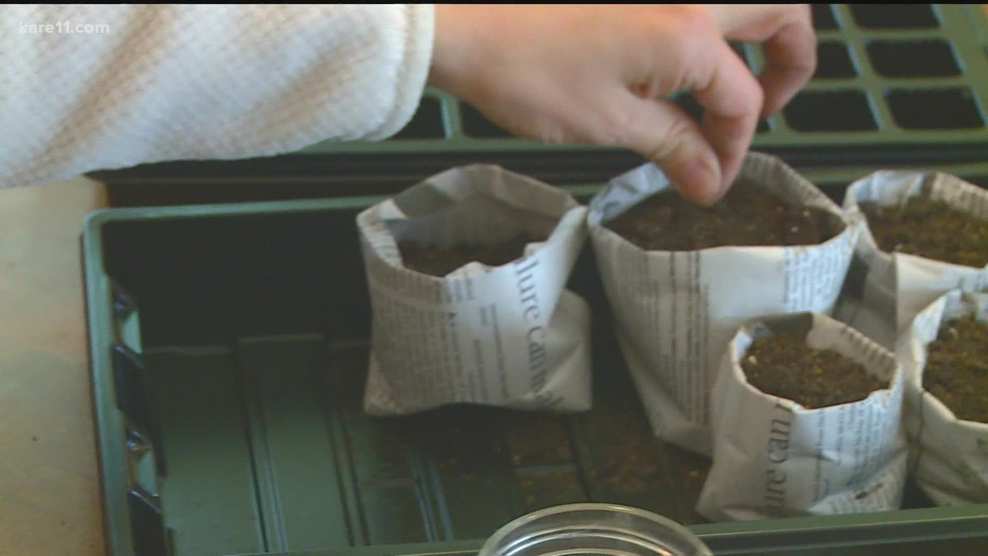 No need to buy the black plastic trays for seed starting — make your own from newspaper!