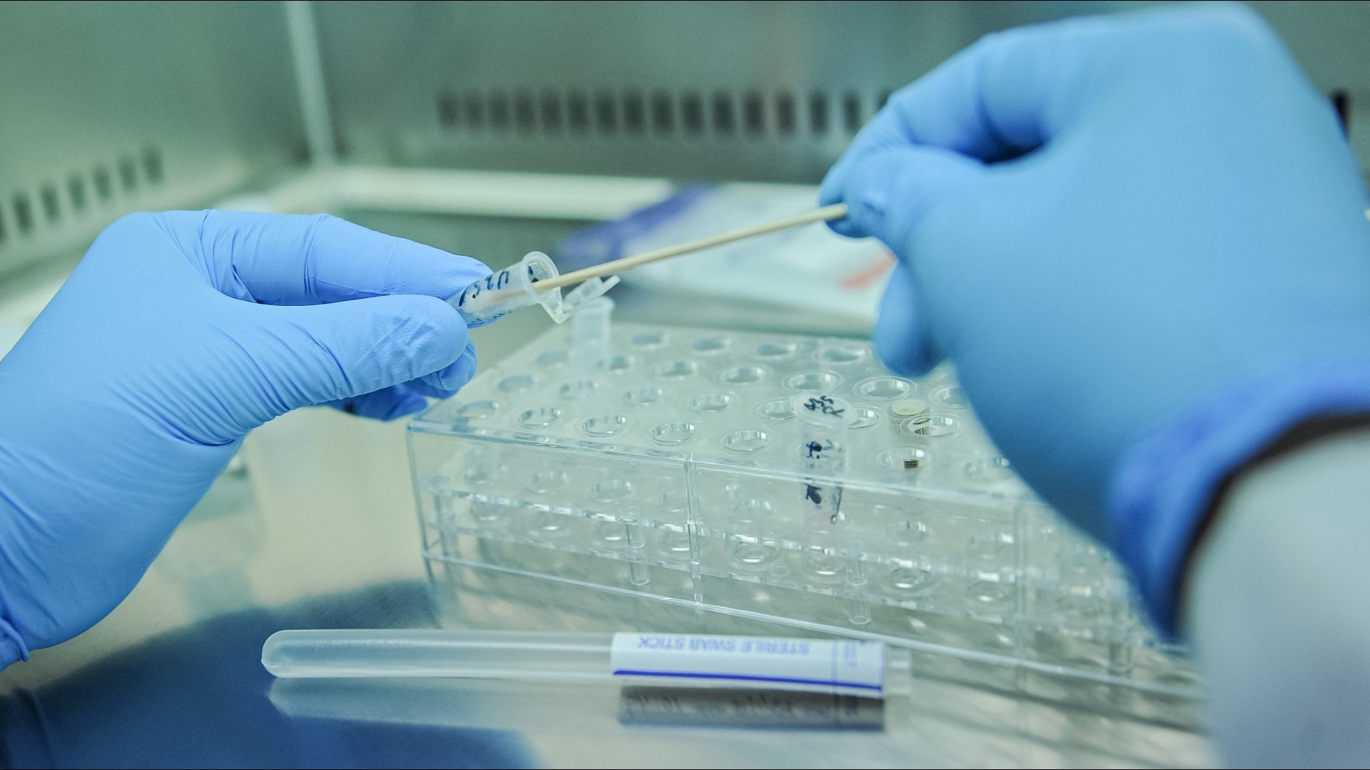 What you need to know before taking an at-home DNA test | kare11.com