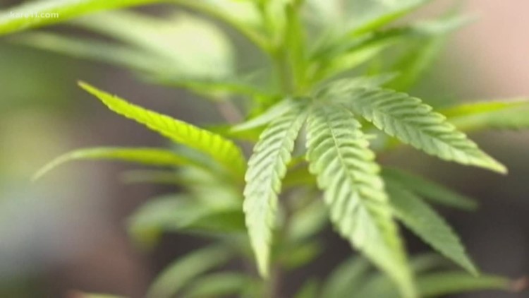 DFL lawmakers discuss possibility of legalizing cannabis