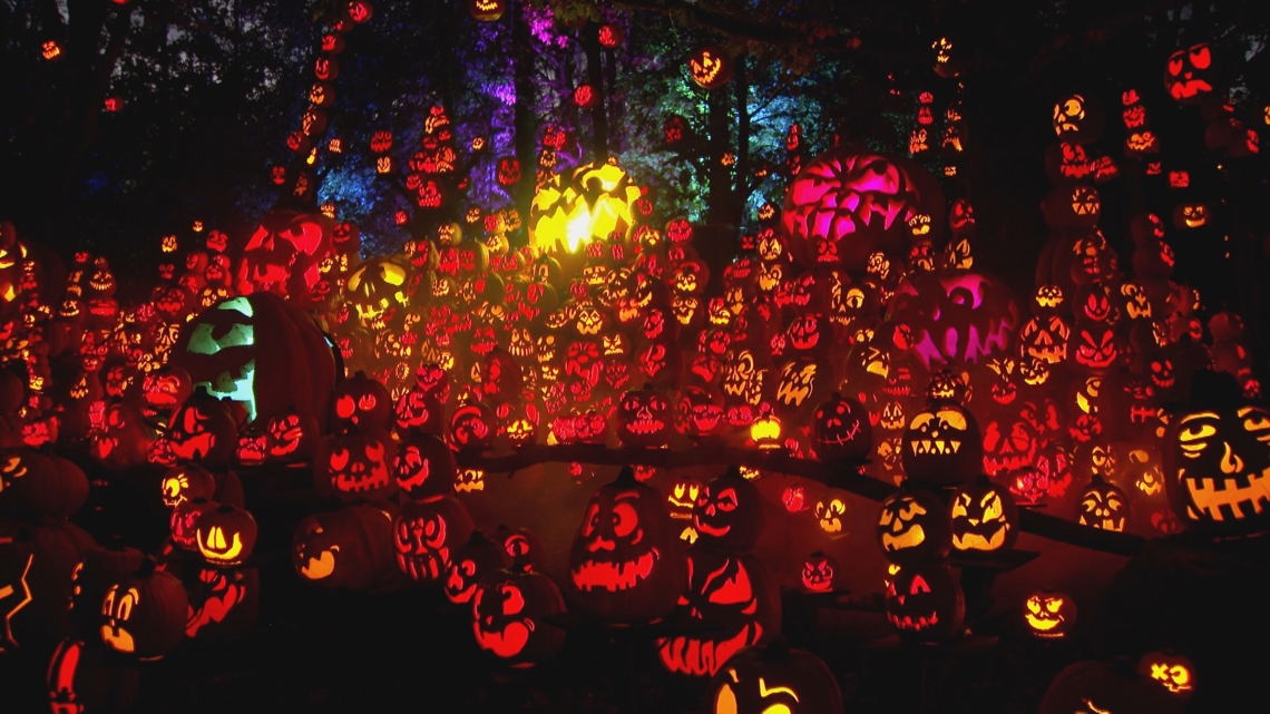 QYマステ7月新作♡Pumpkin lantern 貝殻光 のこり2✩J756＃神约(贝壳光