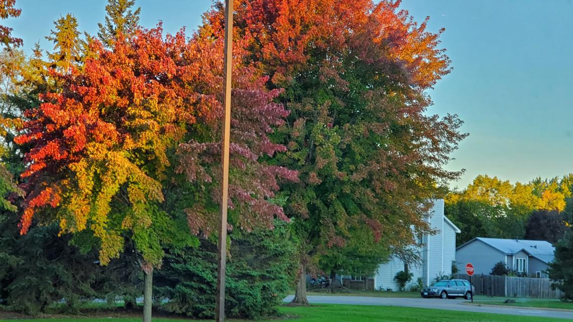 11 Minnesota apple orchards to check out this fall | kare11.com