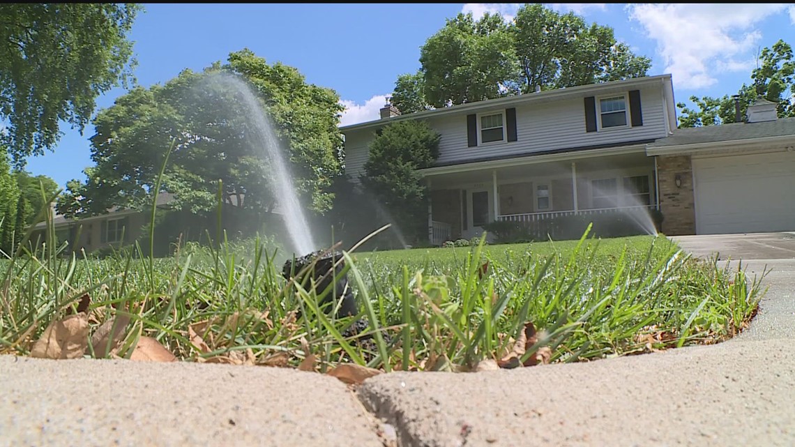 how-to-prepare-your-lawn-and-plants-for-the-extreme-heat-next-week