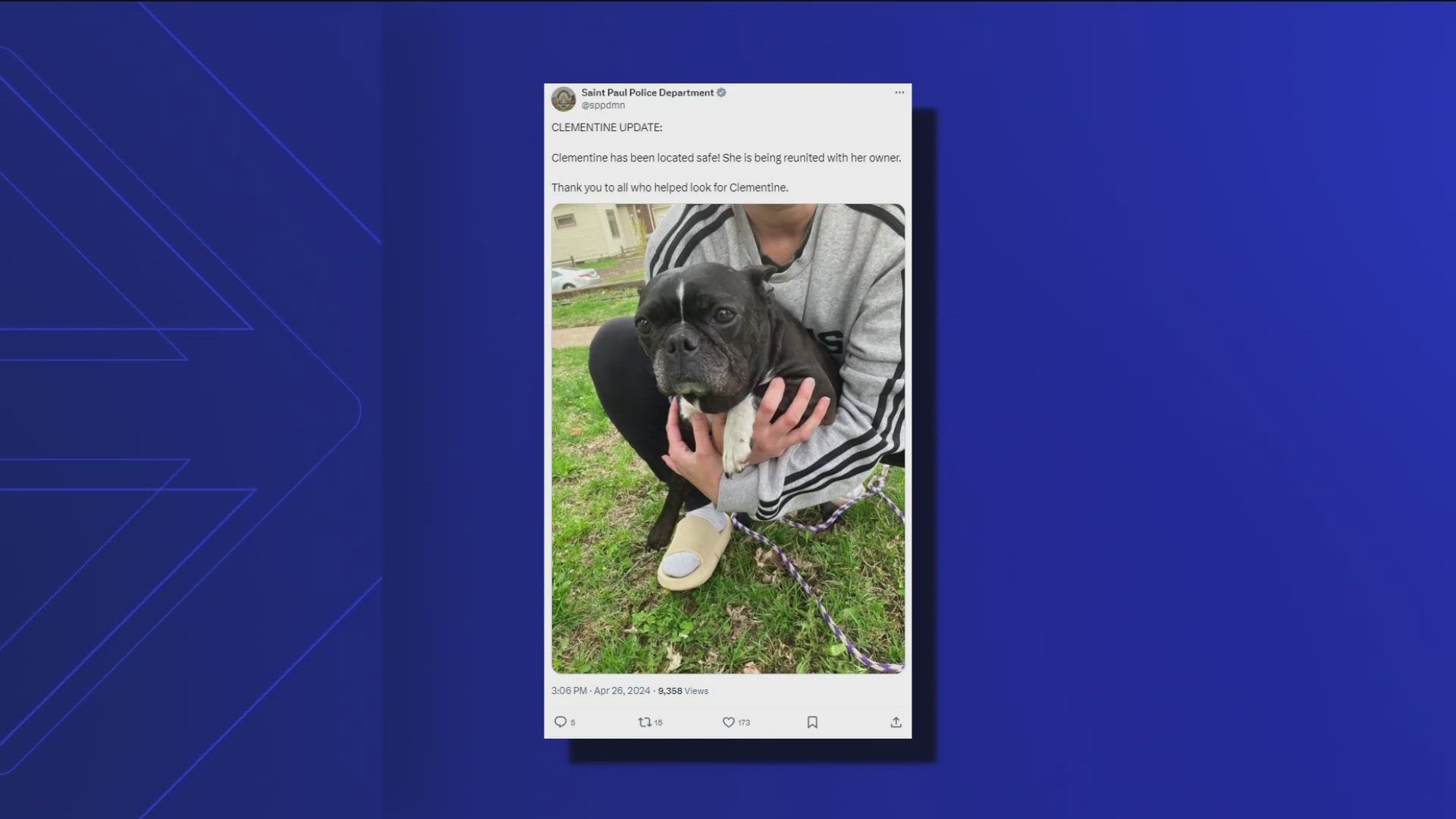 The owner said she was walking her French Bulldog - named Clementine - when two men pushed her down and took her pup.