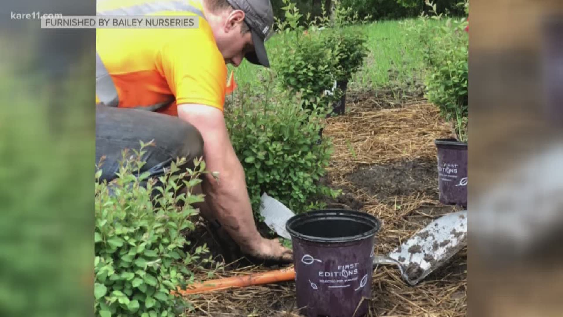 Grow with KARE: Planting a prairie
