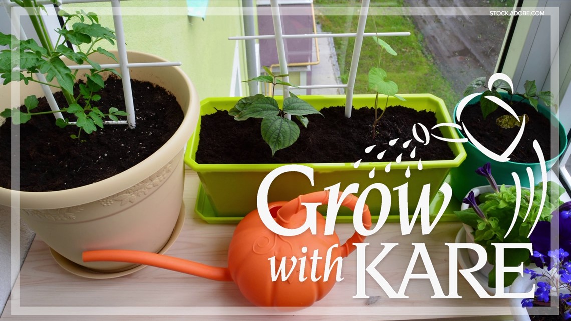 Grow with KARE: Container gardens