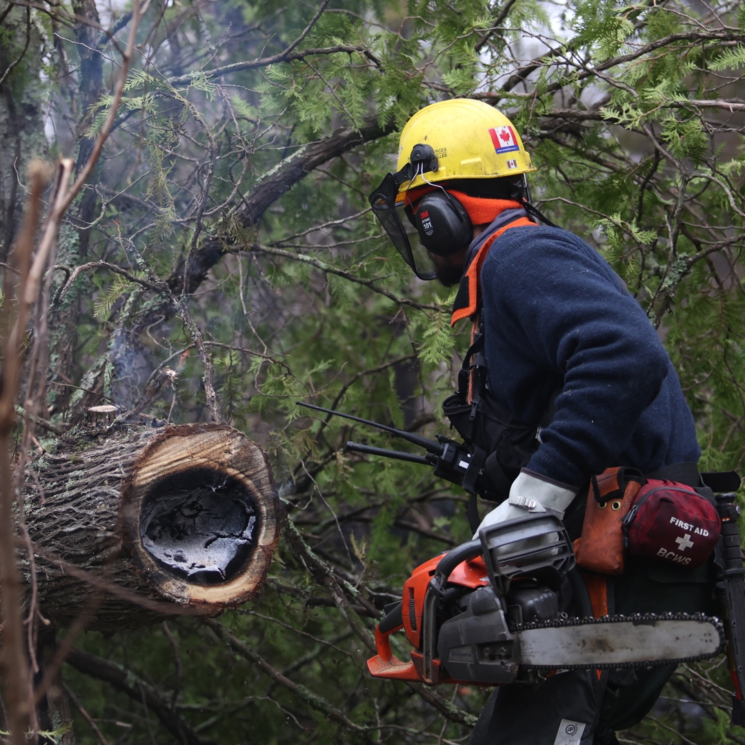 Crews make 'excellent progress' as Stewart Trail Fire perimeter 100% ...