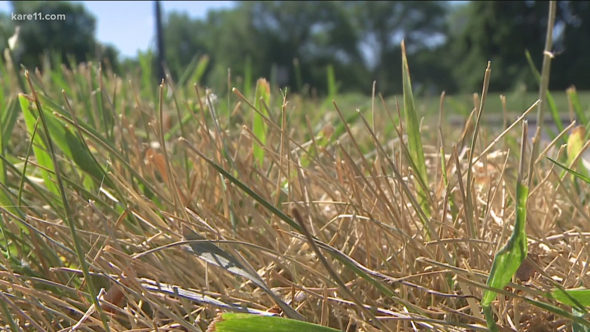 The Minnesota drought is still drying out the state, and many people are being asked to limit their water usage.