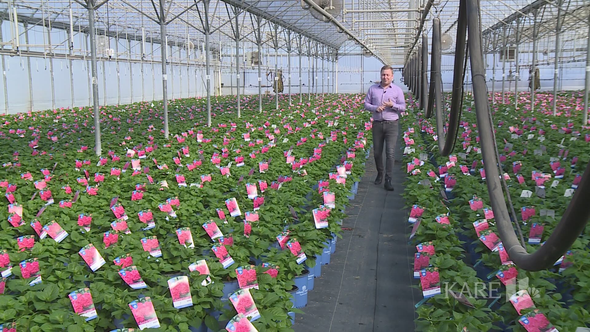 We took a trip to Bailey Nurseries in Cottage Grove to get a look at what's blooming and what we can do to get our gardens ready for spring planting. https://kare11.tv/2UCI3IZ