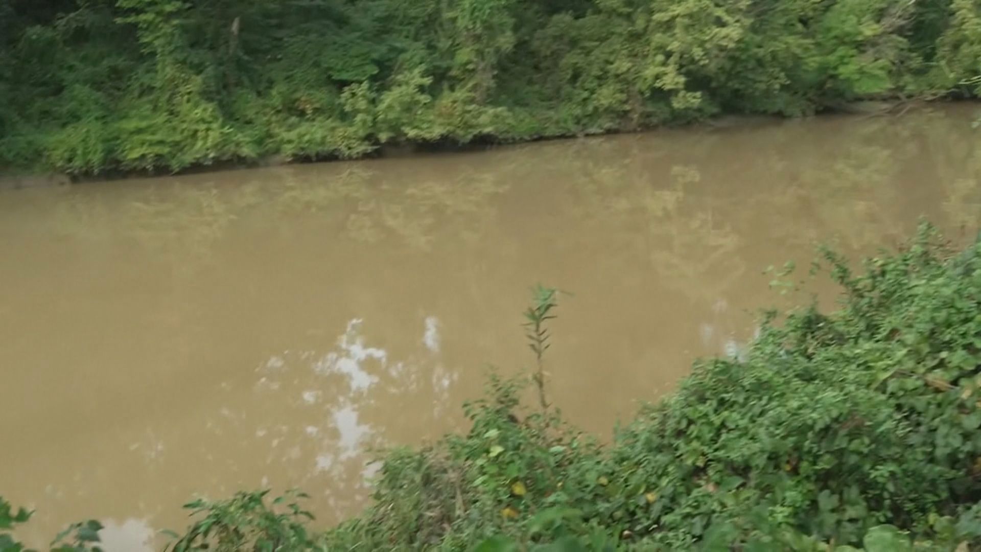A mother, father and child were killed when a tree fell on their car during heavy rain and flooding in Tennessee.