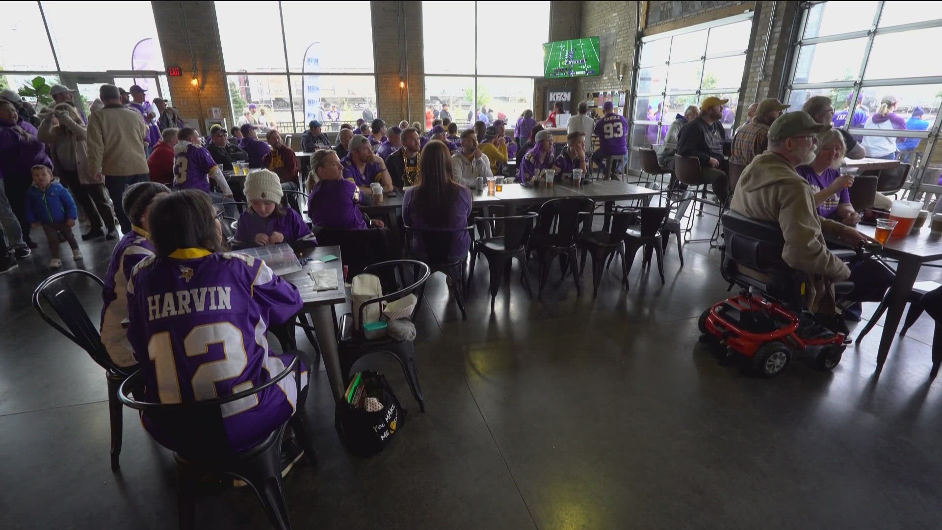 Vikings fans were ecstatic to see their team beat the New York Jets.