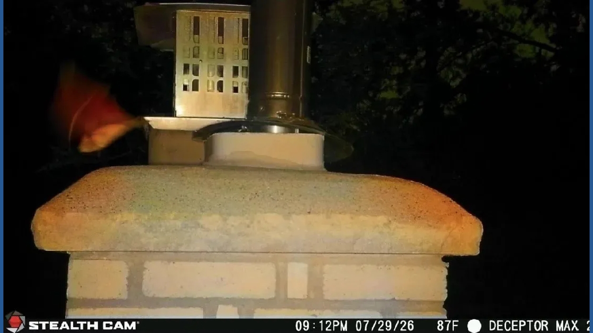 Rabid bat found in Golden Valley home