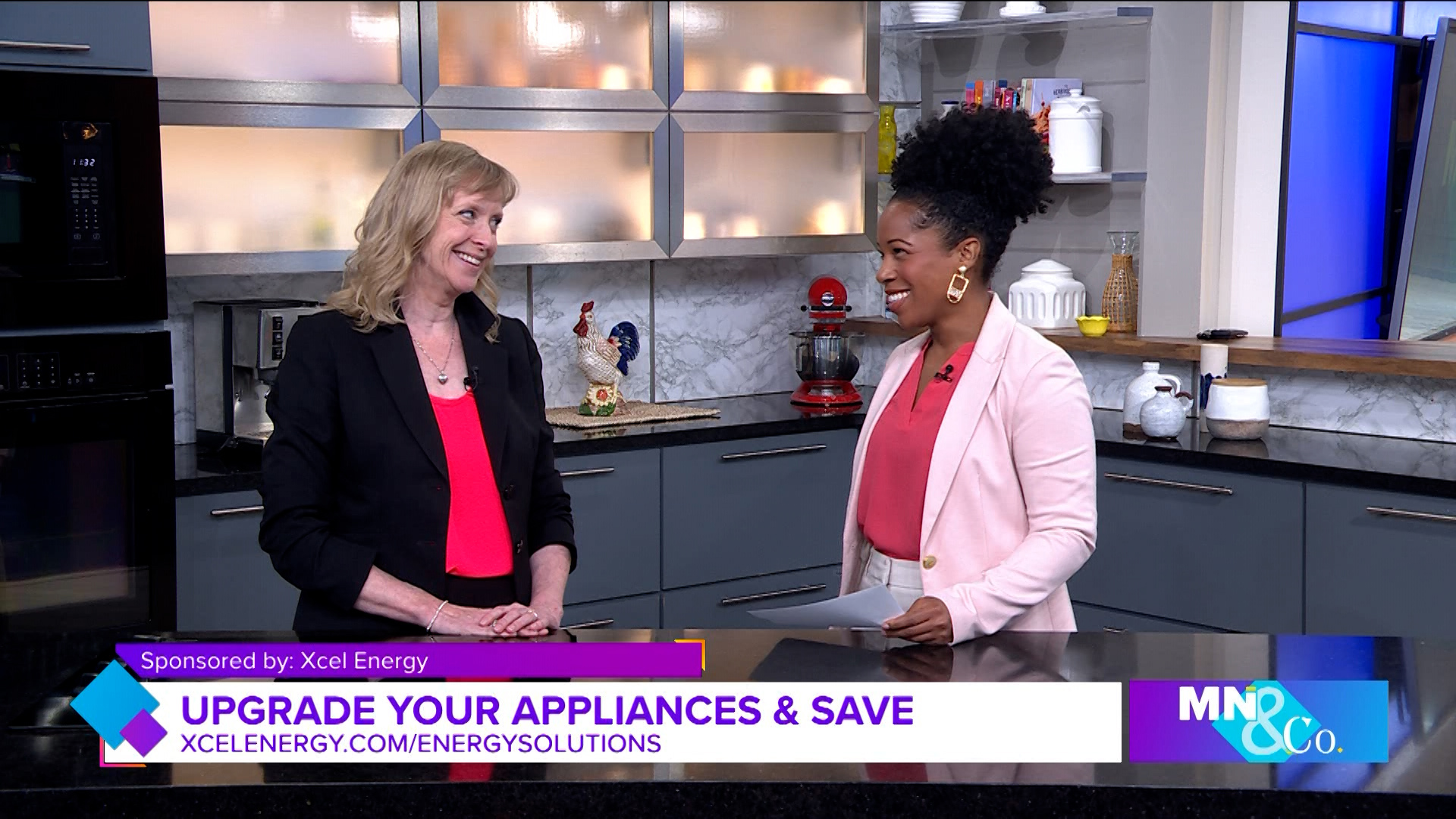 Xcel Energy joins Minnesota and Company to discuss how you can receive a rebate for recycling your old fridge or freezer.