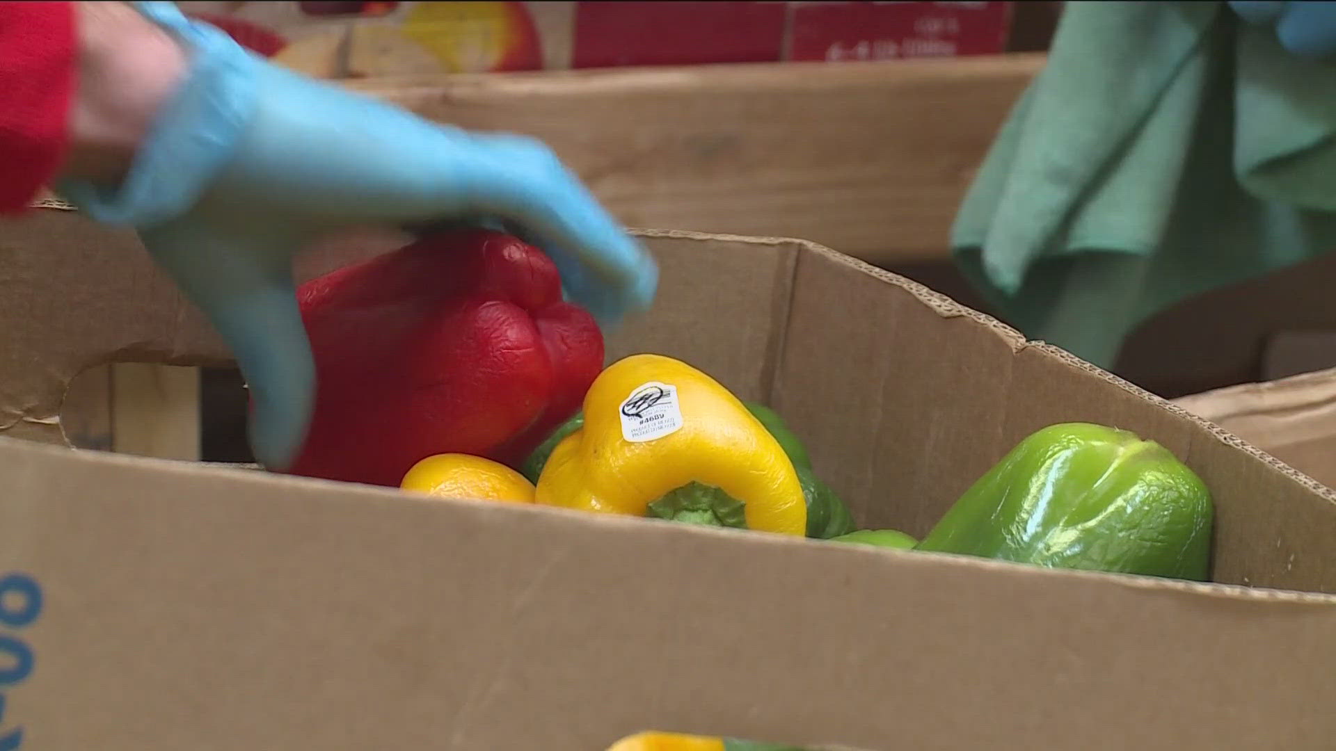 Counties cannot approve applications for SNAP benefits, and so food banks are expecting to get an increase of patrons. 