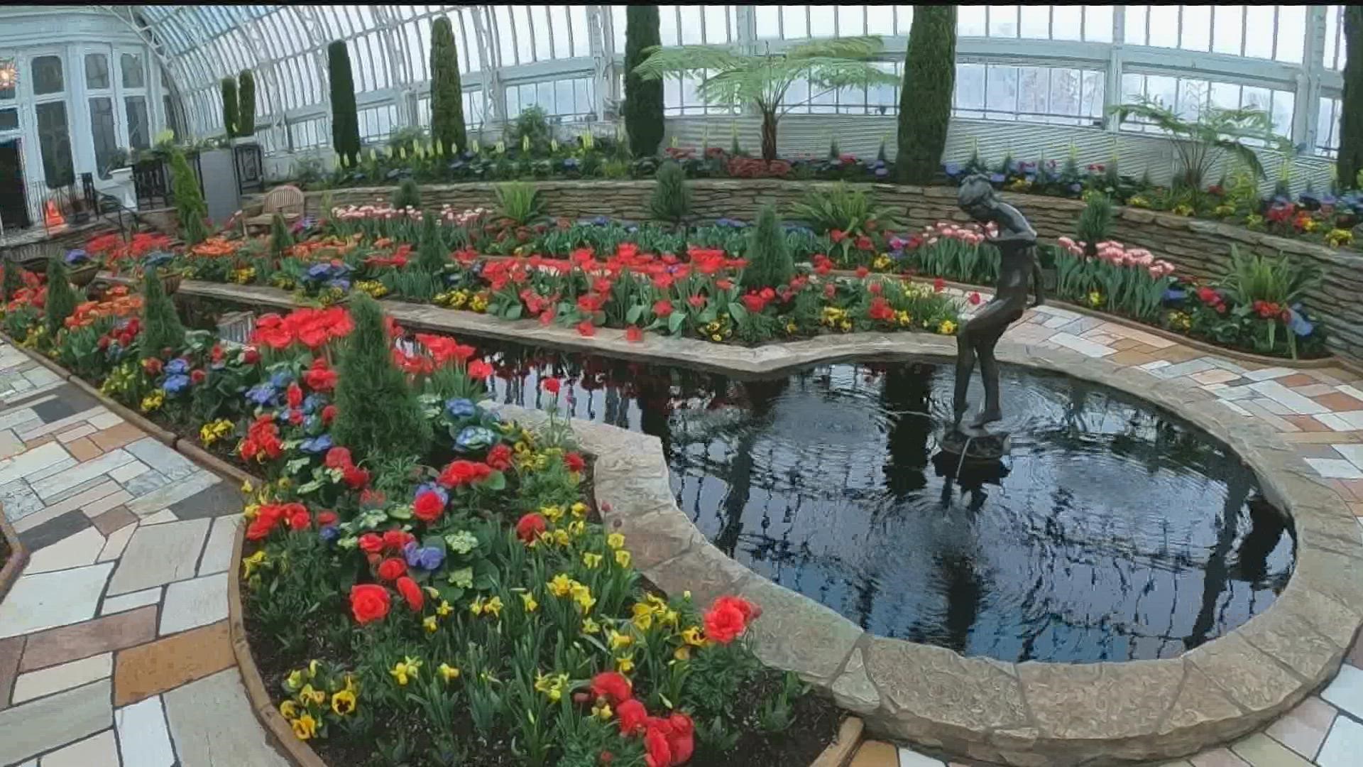 Como Park Horticulturalist Ariel Dressler joined KARE 11 Saturday to discuss what people can expect from this year's flower show.
