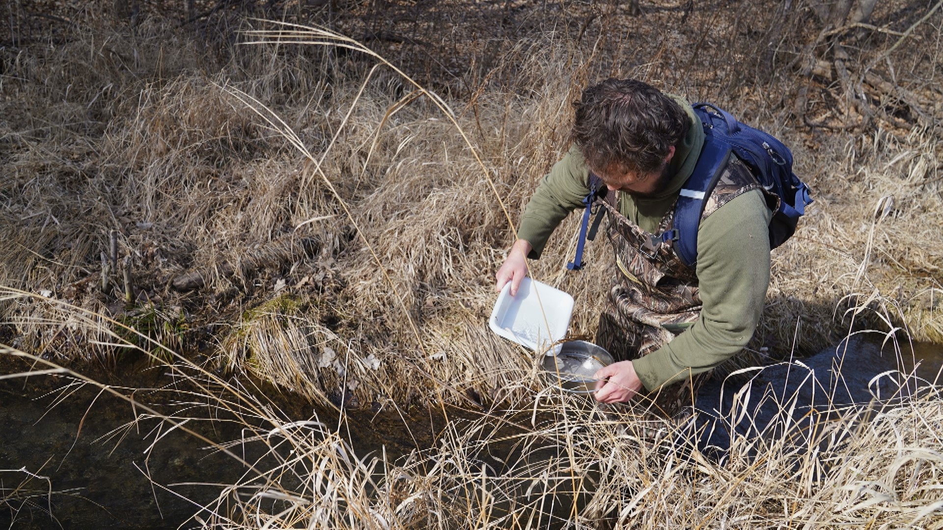 MN researchers dive into the world of winter-active insects | kare11.com