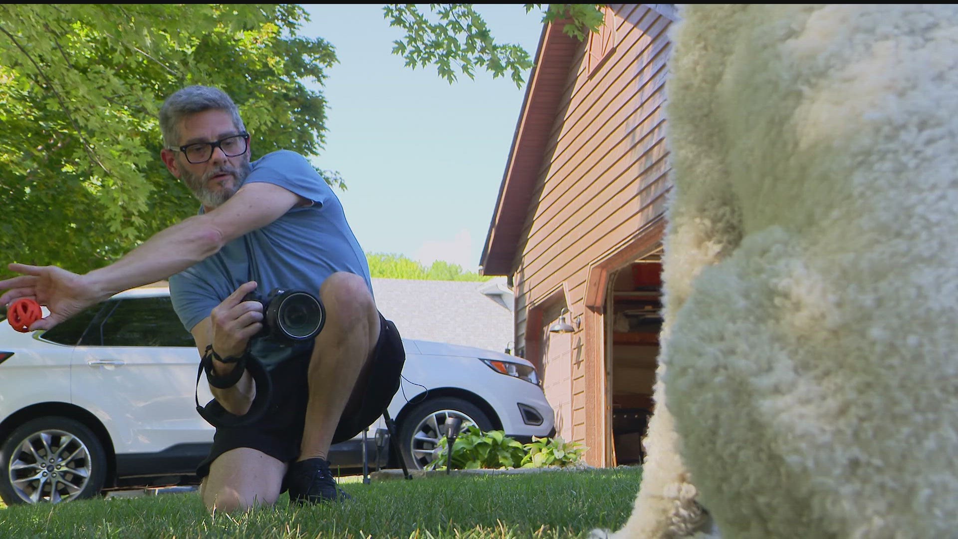 Pedestrian hit in St. Paul light rail crash