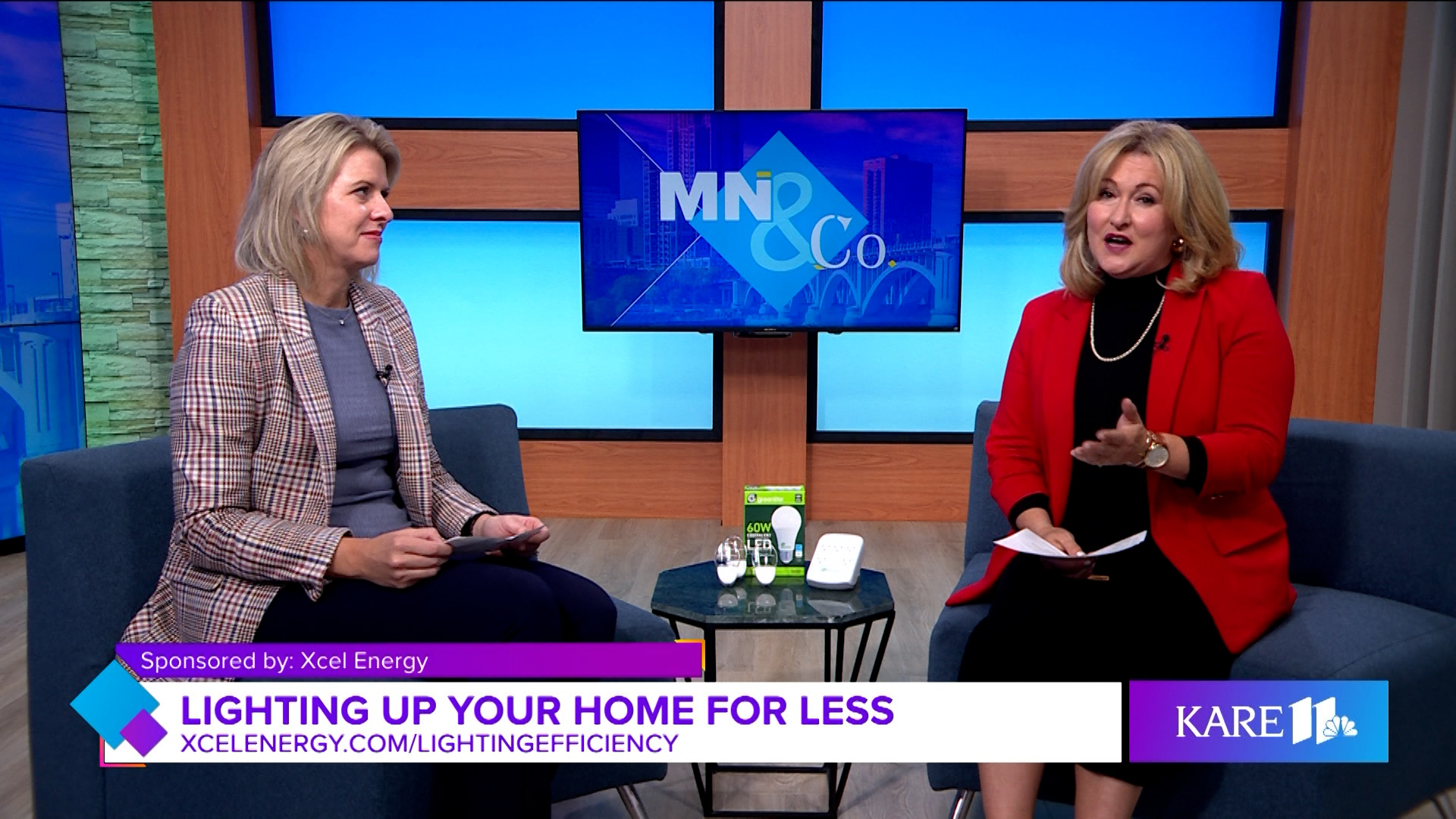 Xcel Energy joins Minnesota and Company to discuss how to save big on Energy Star LED bulbs with them.