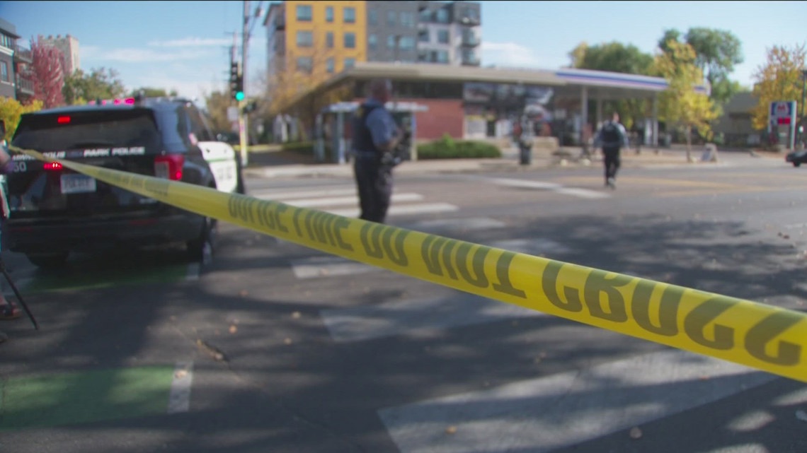 Minneapolis man pleads guilty to murder in deadly multi-county shooting ...