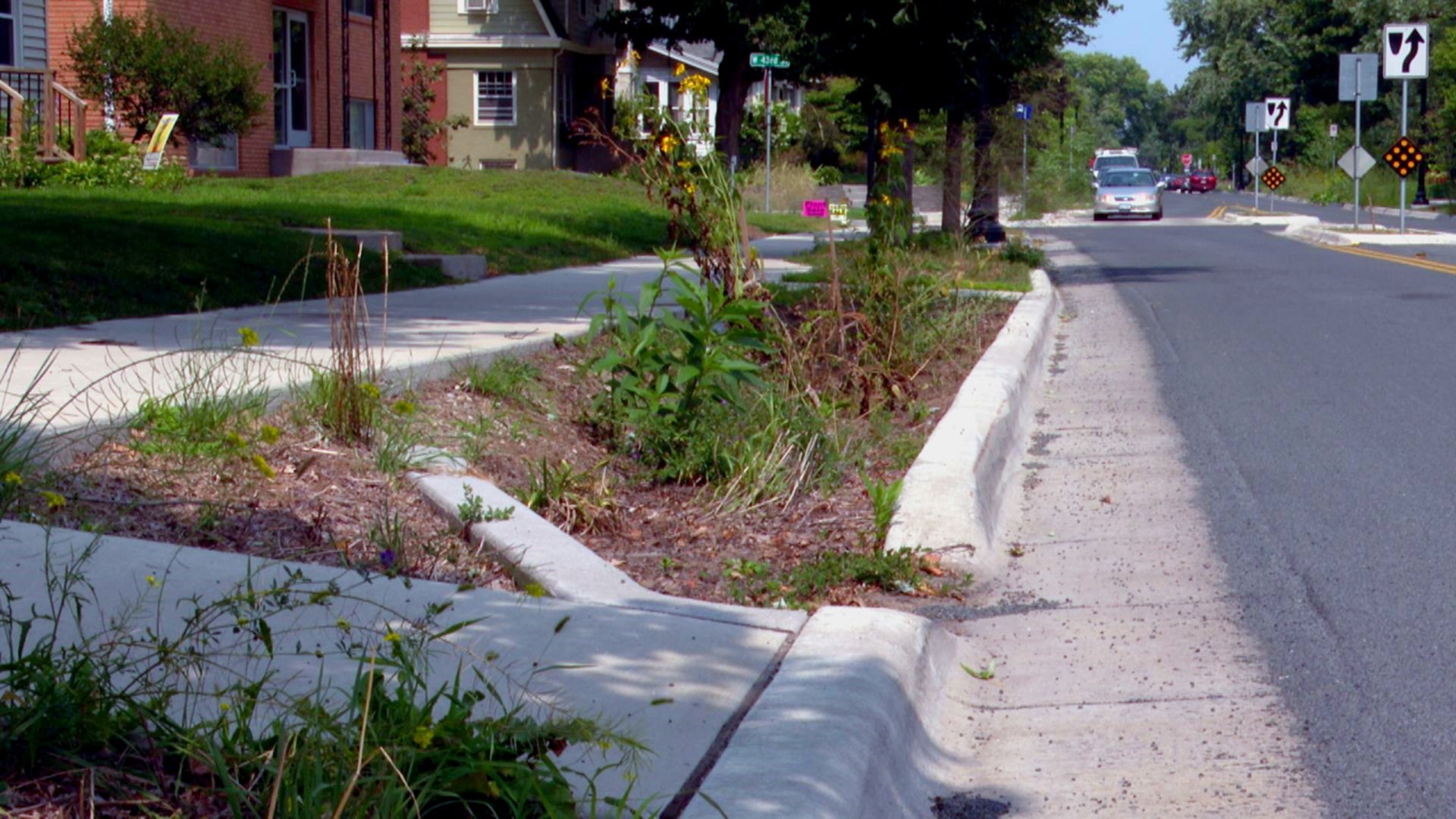 Minneapolis will restart ambitious rain garden project on a stretch of Grand Avenue in the Kingfield Neighborhood, after invasive weeks supplanted wildflowers.
